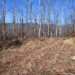 Photo #34 of SOLD property in Off Colonial Turnpike, Rocky Mount, VA 96.1 acres