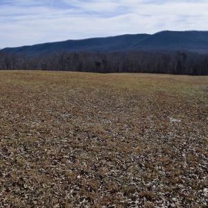 Photo #36 of SOLD property in Off Colonial Turnpike, Rocky Mount, VA 96.1 acres