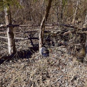 Photo #38 of SOLD property in Off Colonial Turnpike, Rocky Mount, VA 96.1 acres