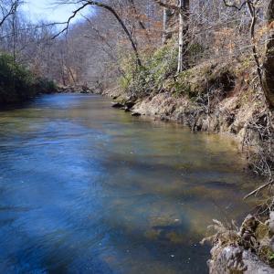 Photo #42 of SOLD property in Off Colonial Turnpike, Rocky Mount, VA 96.1 acres