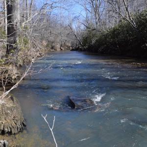 Photo #43 of SOLD property in Off Colonial Turnpike, Rocky Mount, VA 96.1 acres