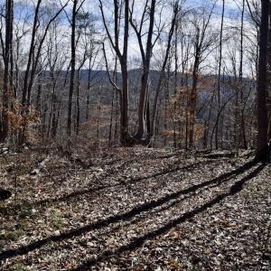 Photo #46 of SOLD property in Off Colonial Turnpike, Rocky Mount, VA 96.1 acres