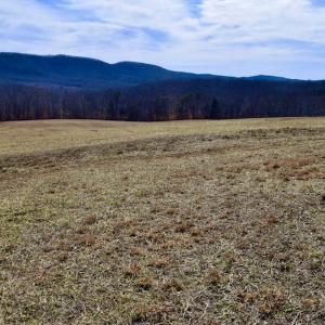 Photo #48 of SOLD property in Off Colonial Turnpike, Rocky Mount, VA 96.1 acres