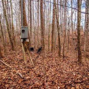Photo #9 of SOLD property in Off Mount Harmony Church Road, Timberlake, NC 4.8 acres