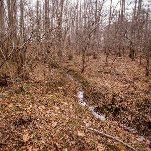 Photo #10 of SOLD property in Off Mount Harmony Church Road, Timberlake, NC 4.8 acres
