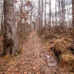Photo #11 of SOLD property in Off Mount Harmony Church Road, Timberlake, NC 4.8 acres