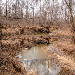 Photo #12 of SOLD property in Off Mount Harmony Church Road, Timberlake, NC 4.8 acres
