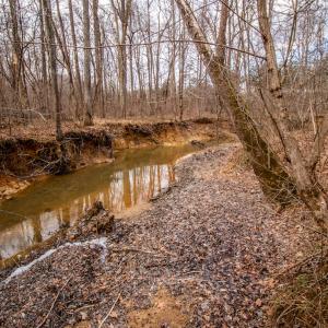 Photo #13 of SOLD property in Off Mount Harmony Church Road, Timberlake, NC 4.8 acres