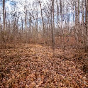 Photo #14 of SOLD property in Off Mount Harmony Church Road, Timberlake, NC 4.8 acres