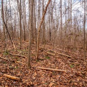 Photo #4 of SOLD property in Off Mount Harmony Church Road, Timberlake, NC 4.8 acres