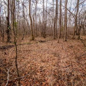 Photo #6 of SOLD property in Off Mount Harmony Church Road, Timberlake, NC 4.8 acres