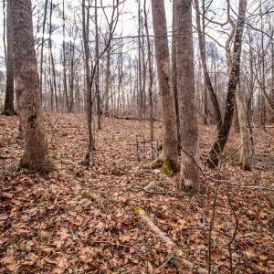 Photo #7 of SOLD property in Off Mount Harmony Church Road, Timberlake, NC 4.8 acres