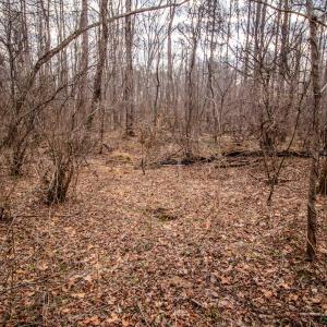Photo #8 of SOLD property in Off Mount Harmony Church Road, Timberlake, NC 4.8 acres