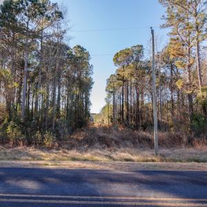 Photo #9 of SOLD property in Off Fifth Street, Bladenboro, NC 1.6 acres
