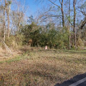 Photo #10 of SOLD property in Off Fifth Street, Bladenboro, NC 1.6 acres