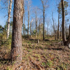 Photo #11 of SOLD property in Off Fifth Street, Bladenboro, NC 1.6 acres