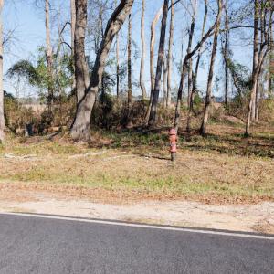 Photo #12 of SOLD property in Off Fifth Street, Bladenboro, NC 1.6 acres