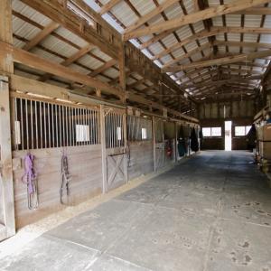 Photo #10 of 200 Lewis Farm Road, New Bern, NC 20.0 acres