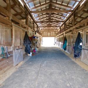 Photo #11 of 200 Lewis Farm Road, New Bern, NC 20.0 acres