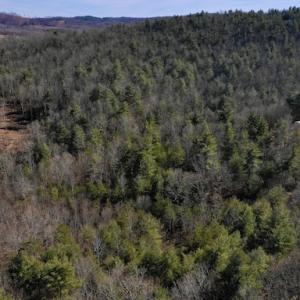 Photo #6 of SOLD property in 3340 Virgil Goode Highway, Rocky Mount, VA 17.3 acres