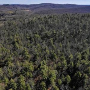 Photo #7 of SOLD property in 3340 Virgil Goode Highway, Rocky Mount, VA 17.3 acres