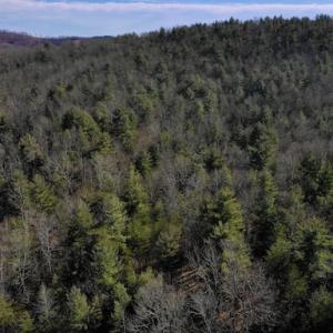 Photo #9 of SOLD property in 3340 Virgil Goode Highway, Rocky Mount, VA 17.3 acres
