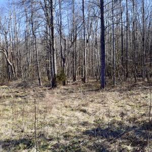 Photo #12 of SOLD property in 3340 Virgil Goode Highway, Rocky Mount, VA 17.3 acres