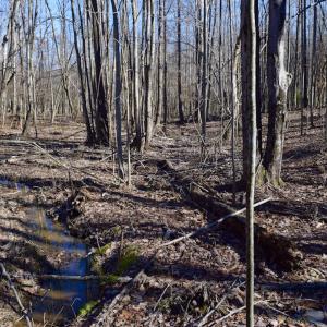 Photo #14 of SOLD property in 3340 Virgil Goode Highway, Rocky Mount, VA 17.3 acres