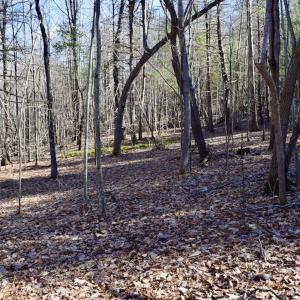 Photo #15 of SOLD property in 3340 Virgil Goode Highway, Rocky Mount, VA 17.3 acres