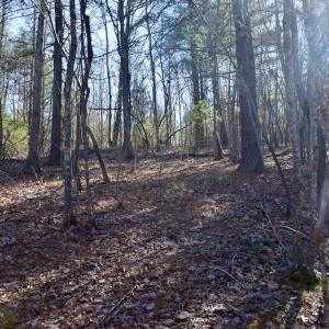 Photo #18 of SOLD property in 3340 Virgil Goode Highway, Rocky Mount, VA 17.3 acres