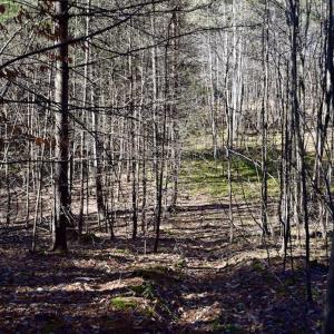 Photo #20 of SOLD property in 3340 Virgil Goode Highway, Rocky Mount, VA 17.3 acres