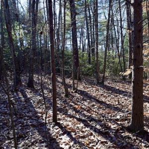 Photo #21 of SOLD property in 3340 Virgil Goode Highway, Rocky Mount, VA 17.3 acres