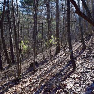 Photo #22 of SOLD property in 3340 Virgil Goode Highway, Rocky Mount, VA 17.3 acres