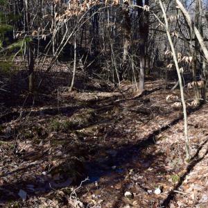 Photo #23 of SOLD property in 3340 Virgil Goode Highway, Rocky Mount, VA 17.3 acres