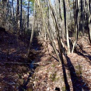 Photo #24 of SOLD property in 3340 Virgil Goode Highway, Rocky Mount, VA 17.3 acres