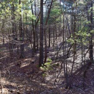 Photo #27 of SOLD property in 3340 Virgil Goode Highway, Rocky Mount, VA 17.3 acres
