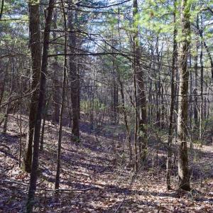 Photo #28 of SOLD property in 3340 Virgil Goode Highway, Rocky Mount, VA 17.3 acres
