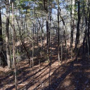 Photo #29 of SOLD property in 3340 Virgil Goode Highway, Rocky Mount, VA 17.3 acres