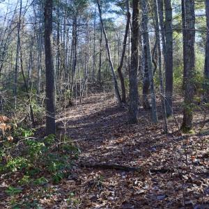 Photo #30 of SOLD property in 3340 Virgil Goode Highway, Rocky Mount, VA 17.3 acres
