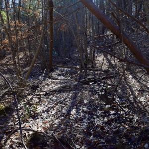 Photo #31 of SOLD property in 3340 Virgil Goode Highway, Rocky Mount, VA 17.3 acres