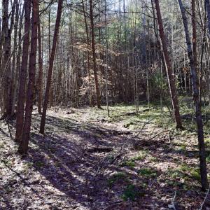 Photo #34 of SOLD property in 3340 Virgil Goode Highway, Rocky Mount, VA 17.3 acres