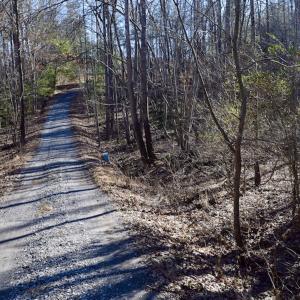 Photo #35 of SOLD property in 3340 Virgil Goode Highway, Rocky Mount, VA 17.3 acres