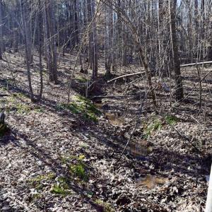 Photo #39 of SOLD property in 3340 Virgil Goode Highway, Rocky Mount, VA 17.3 acres