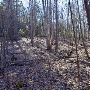 Photo #40 of SOLD property in 3340 Virgil Goode Highway, Rocky Mount, VA 17.3 acres