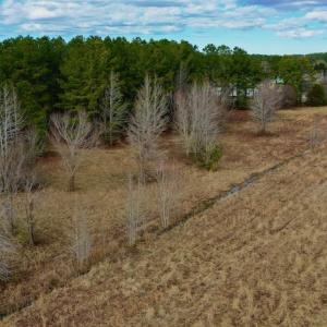 Photo #13 of SOLD property in Off Megan Drive, Elizabeth City, NC 5.2 acres