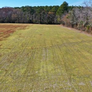 Photo #3 of Off Lee Farm Road, Arapahoe, NC 8.0 acres