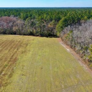 Photo #4 of Off Lee Farm Road, Arapahoe, NC 8.0 acres