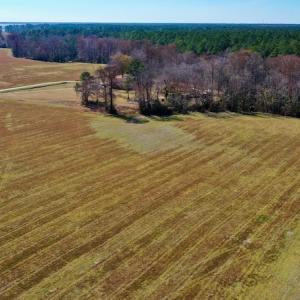 Photo #5 of Off Lee Farm Road, Arapahoe, NC 8.0 acres