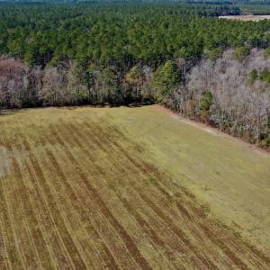 Photo #6 of Off Lee Farm Road, Arapahoe, NC 8.0 acres