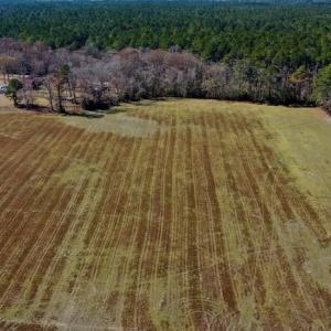 Photo #7 of Off Lee Farm Road, Arapahoe, NC 8.0 acres